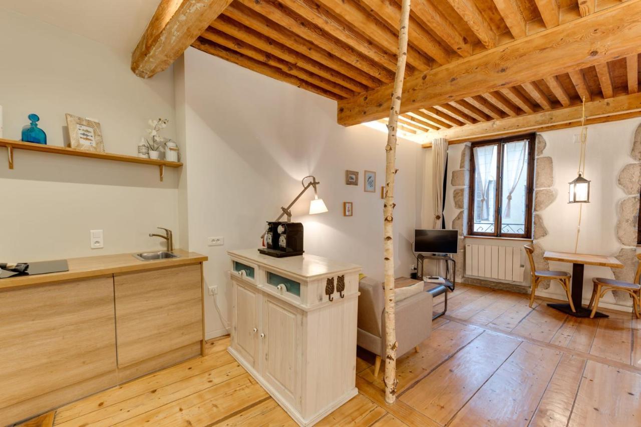 La Cour Filaterie - Suite Of 30 Sq M In The Annecy Breakfast Included Екстериор снимка