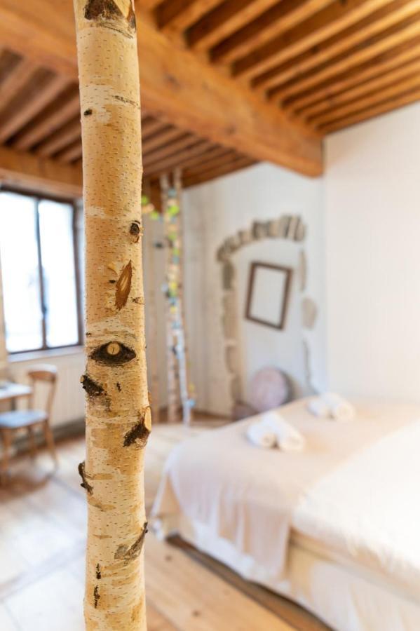 La Cour Filaterie - Suite Of 30 Sq M In The Annecy Breakfast Included Екстериор снимка